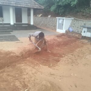 WhatsApp Image 2024-08-25 at 2.44.16 PM (1)